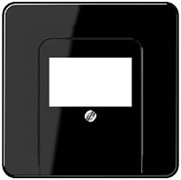 Лицевая панель Jung CD500 для 2-м. розетки USB/аудио черный картинка